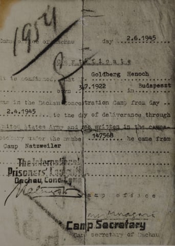 Survivor's Certificate belonging to Henoch Goldberg, born in Budapest, Hungary, 1922, issued in the Dachau DP camp, 02 June 1945