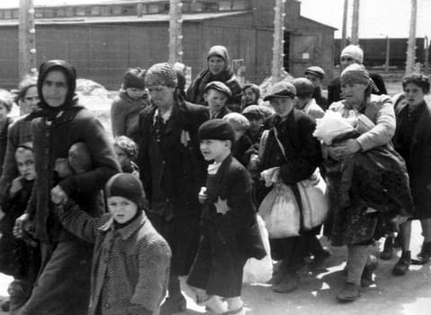 Auschwitz: The Final Stop
