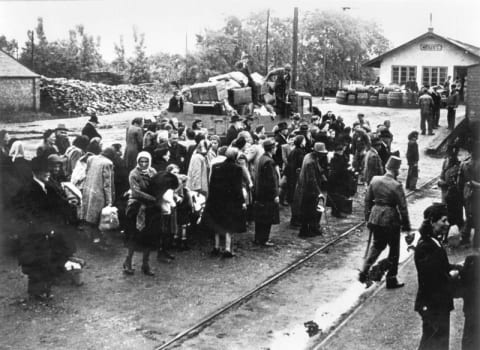 Research on the Holocaust in Hungary and Hungarian Jewish History