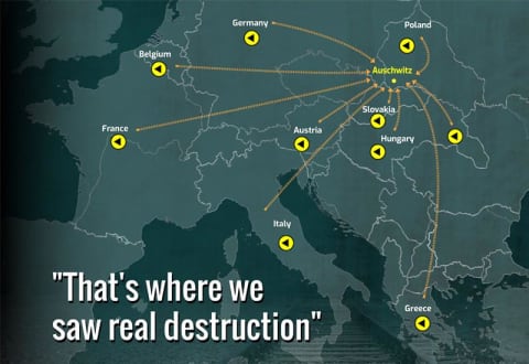 Testimonies of survivors from around Europe