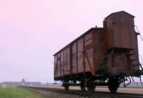 The Wagon of Birkenau