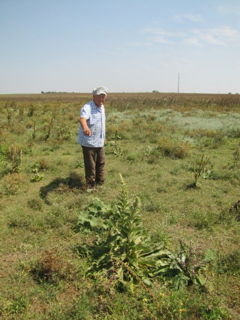 Ivan Ostrov at the former Sheep Farm Wells murder site. Photographer: 	Mikhail Tyaglyy, 2010.