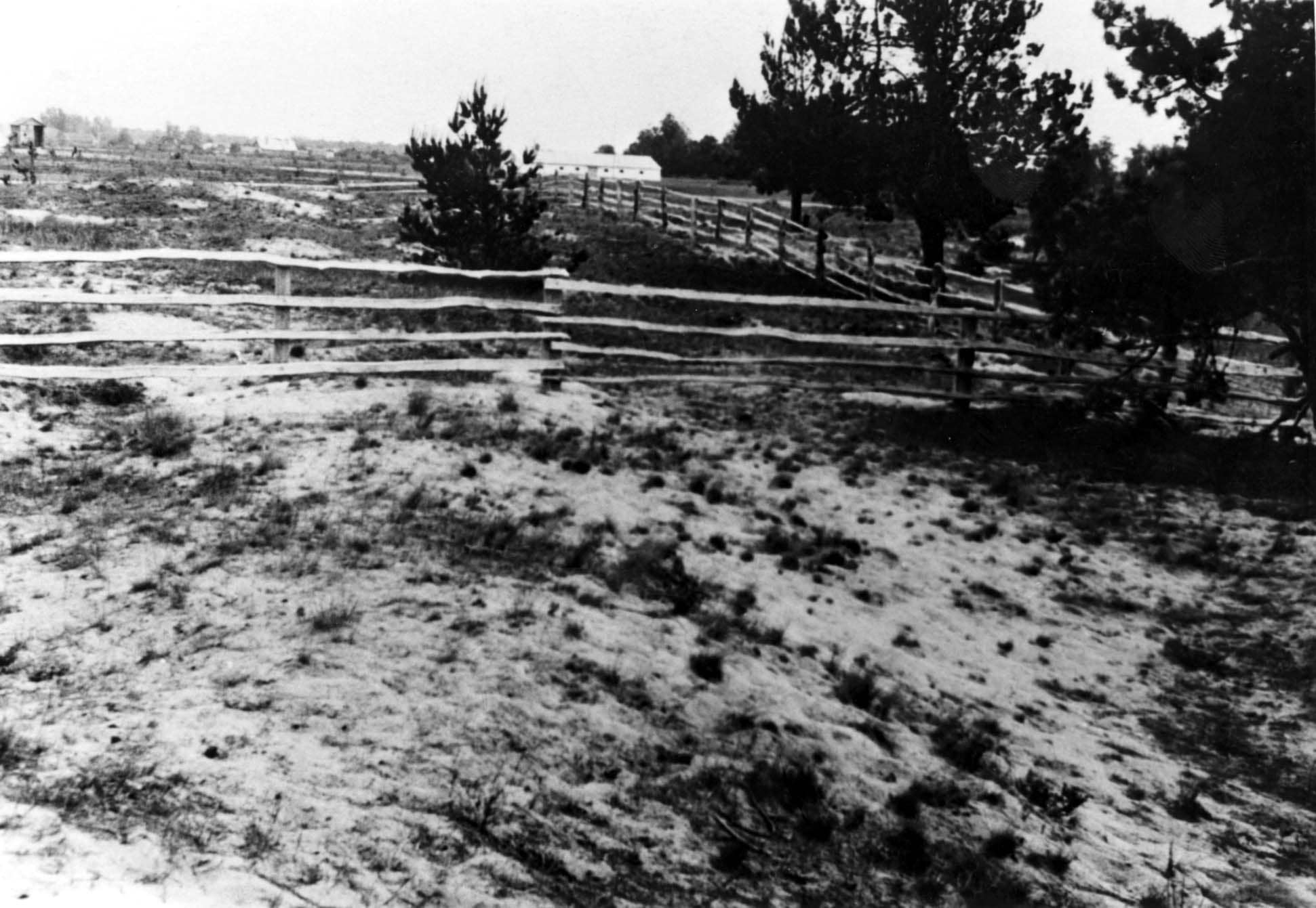 The site of the massacre of the Jews of Lenin, apparently shortly after the war