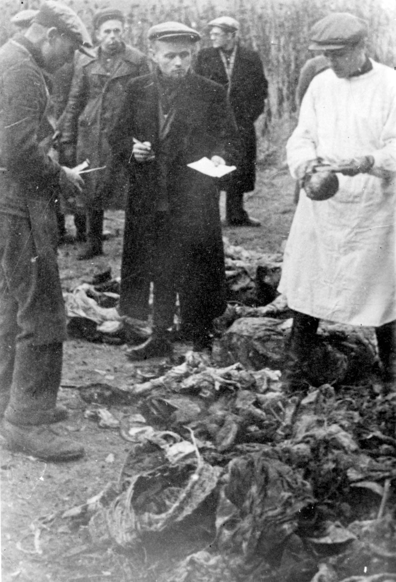 ChGK comittee members examining the bodies of the murdered Jews in Cǎlǎraşi