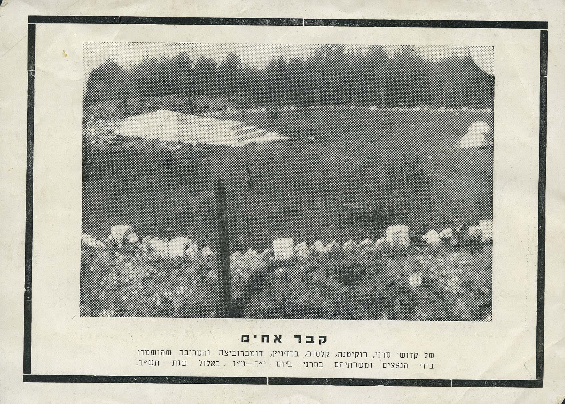 Mass grave of the Jews of Sarny and its surroundings. A photo that was probably taken in the 1950s.