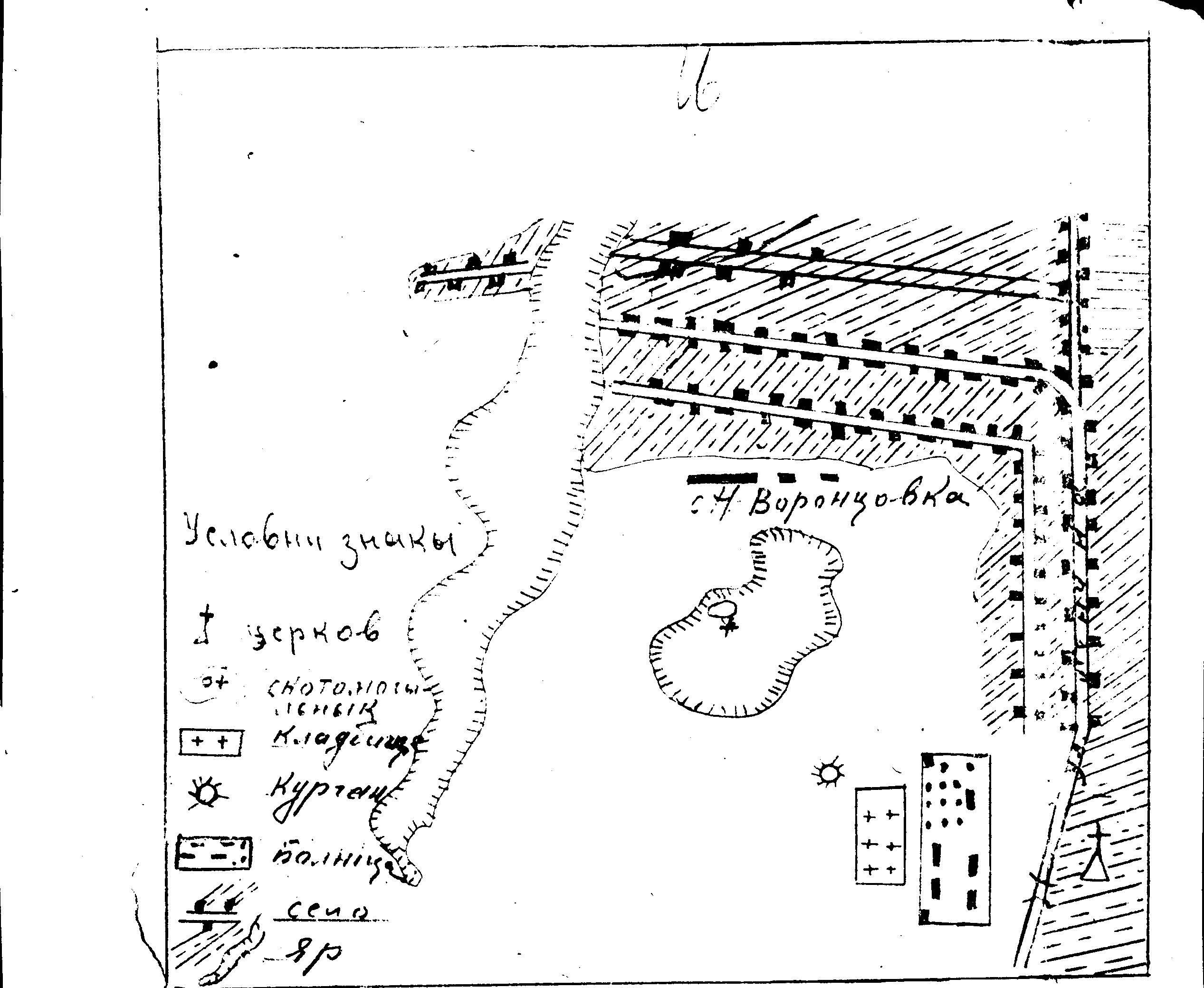 Sketch of the Animal burial ground in Novovorontsovka area