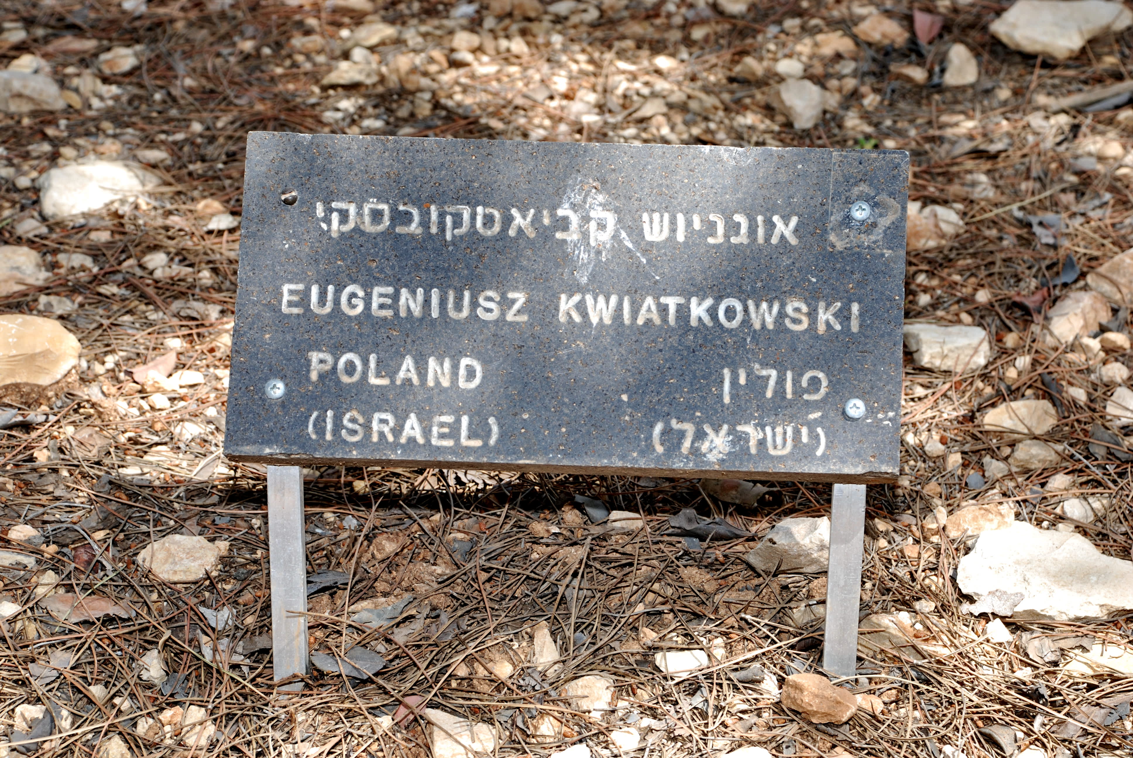 A memorial plate near the tree of Eugeniusz Kwiatkowski, ?? ?? ?????