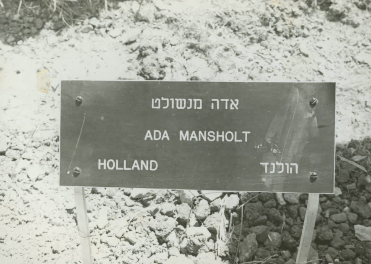 The plaque of the Tree in Honor of Ada Mansholt. Yad Vashem