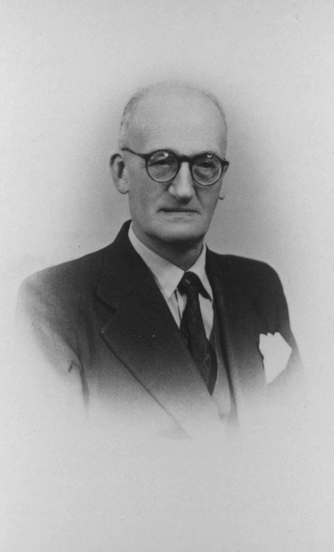 Bruno mattei (rescued), The survivor