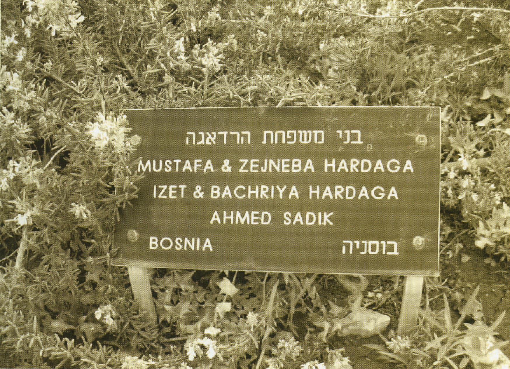 The plaque of the Tree in Honor of the Hardaga family. Yad Vashem