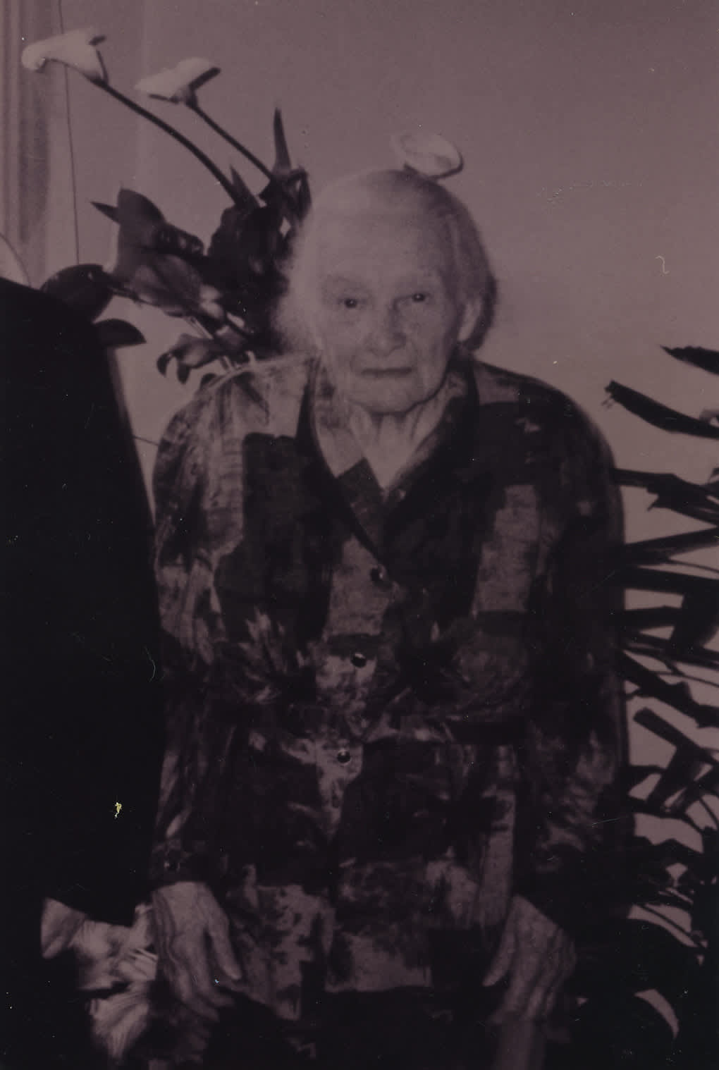 Adele Turrini