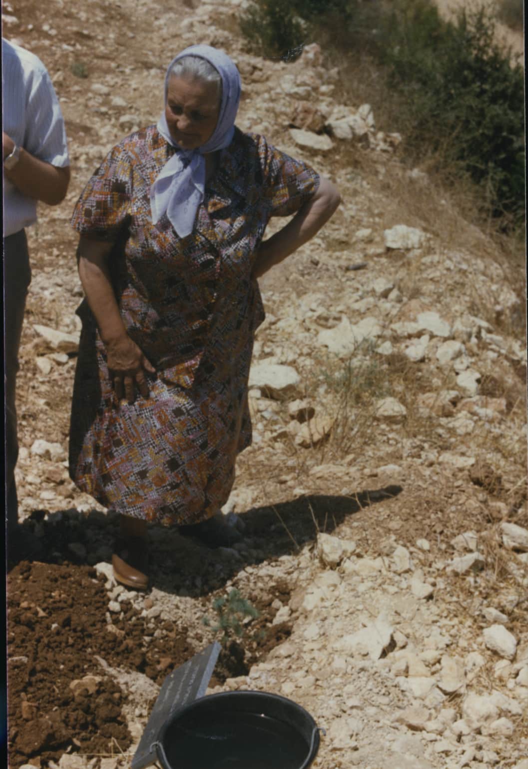 Tree Planting Ceremony in Honor of.. Name. Yad Vashem. 16.07.1985