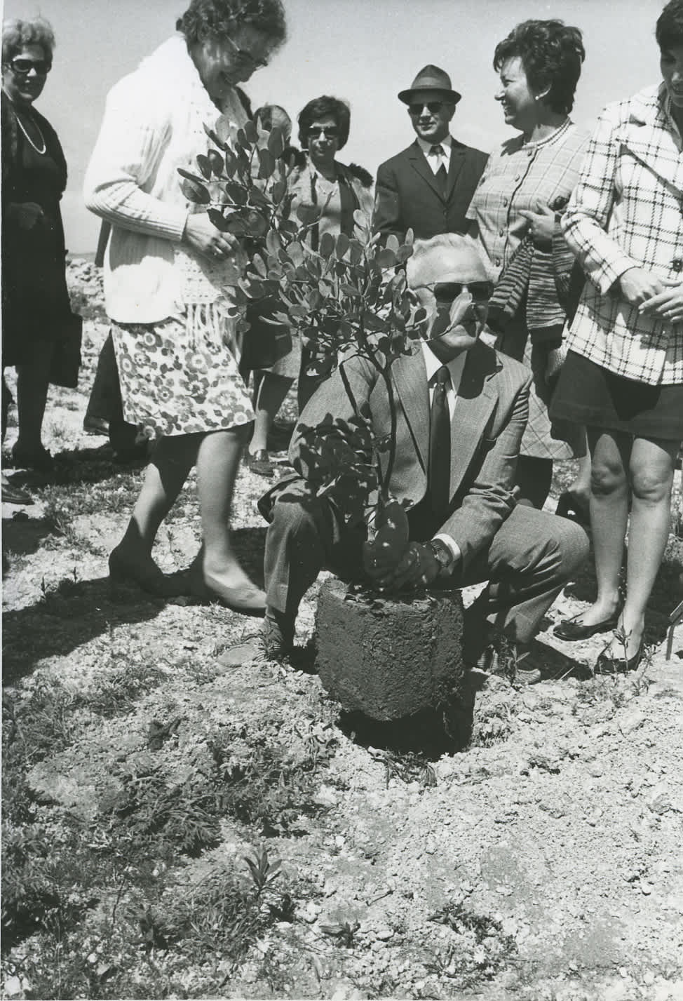 Tree Planting Ceremony in Honor of van der Iest family