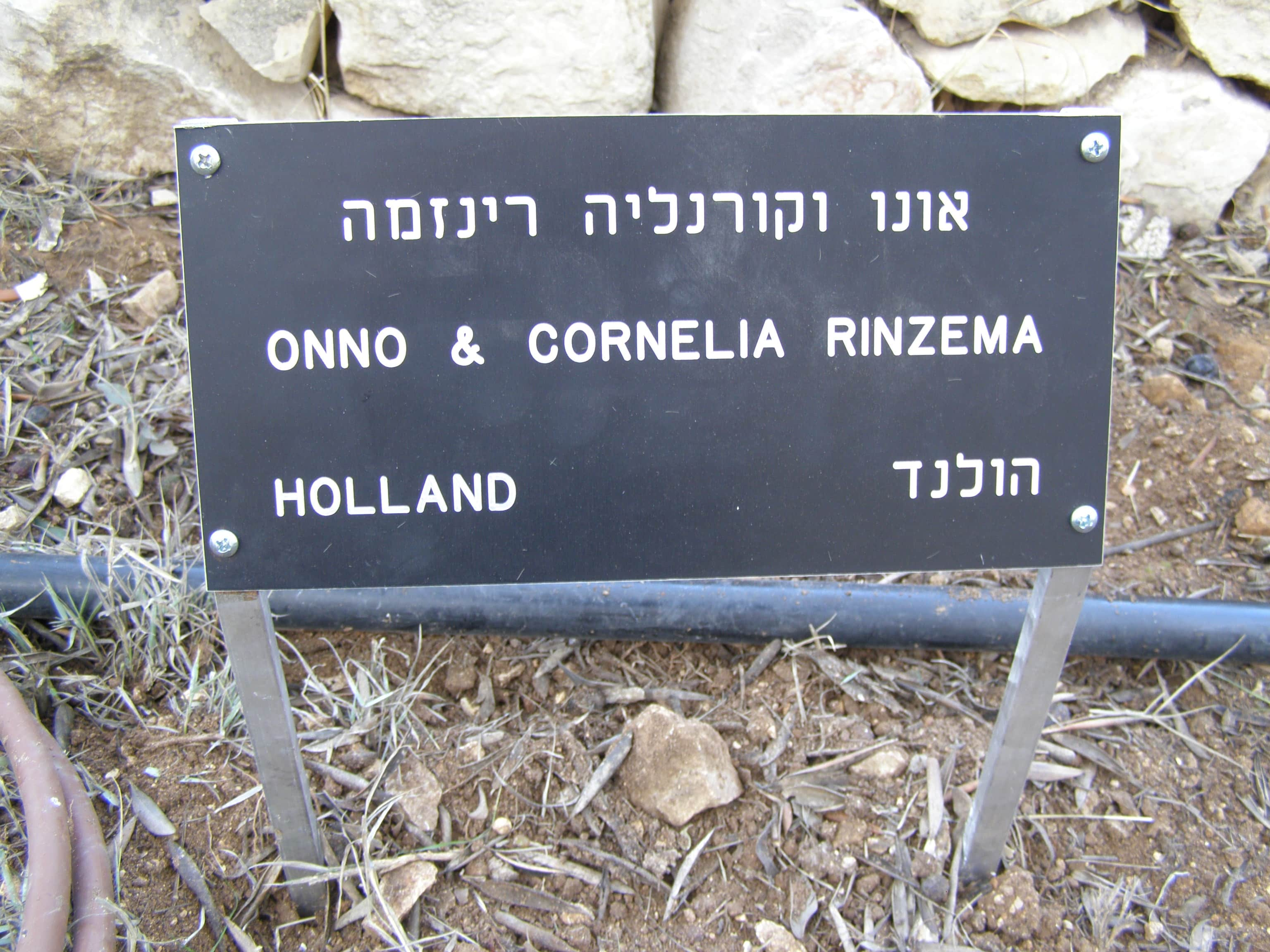 The plaque of the Tree in Honor of Rinzema, Onno & Cornelia. Yad Vashem