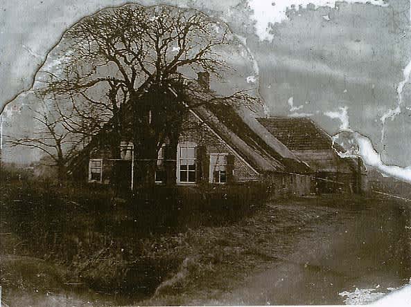 The rescuers' house