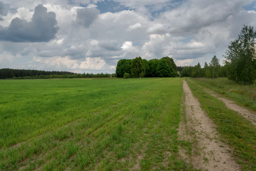 Murder site near the prewar section of the Jewish cemetery, the former "kolkhoz"  area