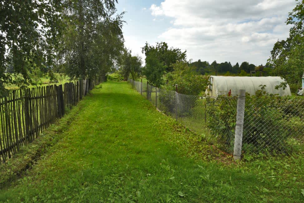 The former Jewish cemetery in Yanovichi. Photographer: 	Alexander Litin, 2018.