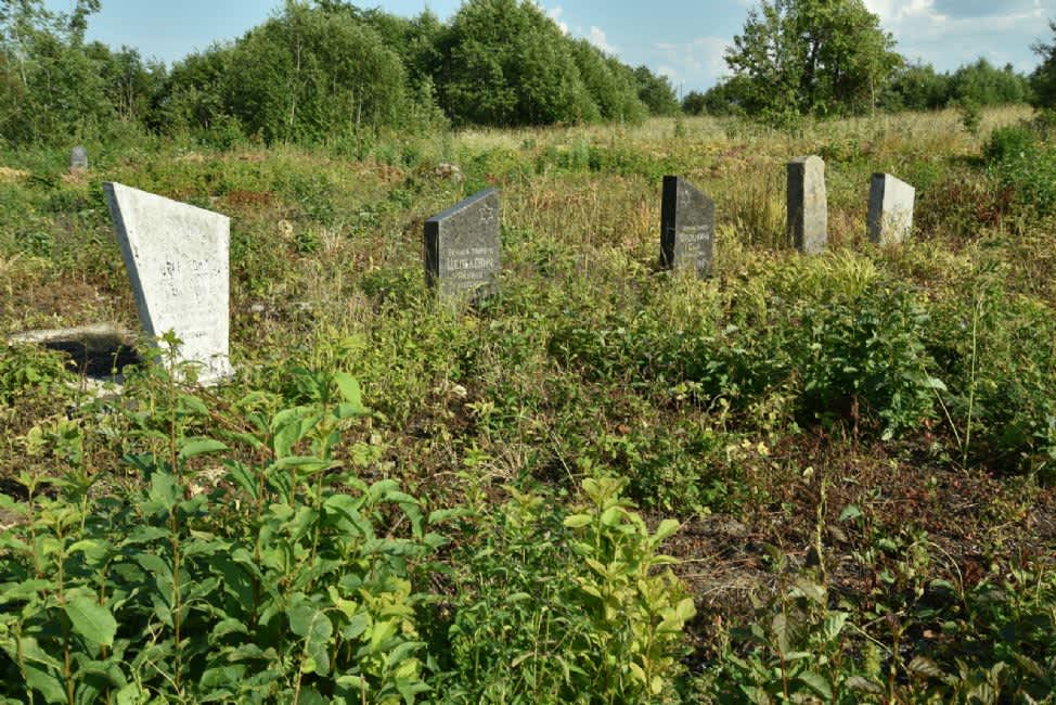 Old Jewish cemetery. Photographer: 	Alexander Litin, 2015.