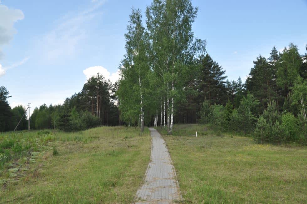 Path to the murder site. Photographer: 	Alexander Litin, 2012.