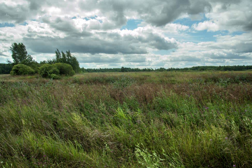 Żołnica Village murder site. Photographer: 	Alexander Litin, 2015.