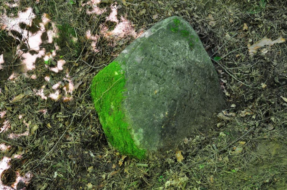 Last remnant of Jewish life in Lyubonichi: a tombstone from the former Jewish cemetery. Photographer: 	Alexander Litin, 2009.