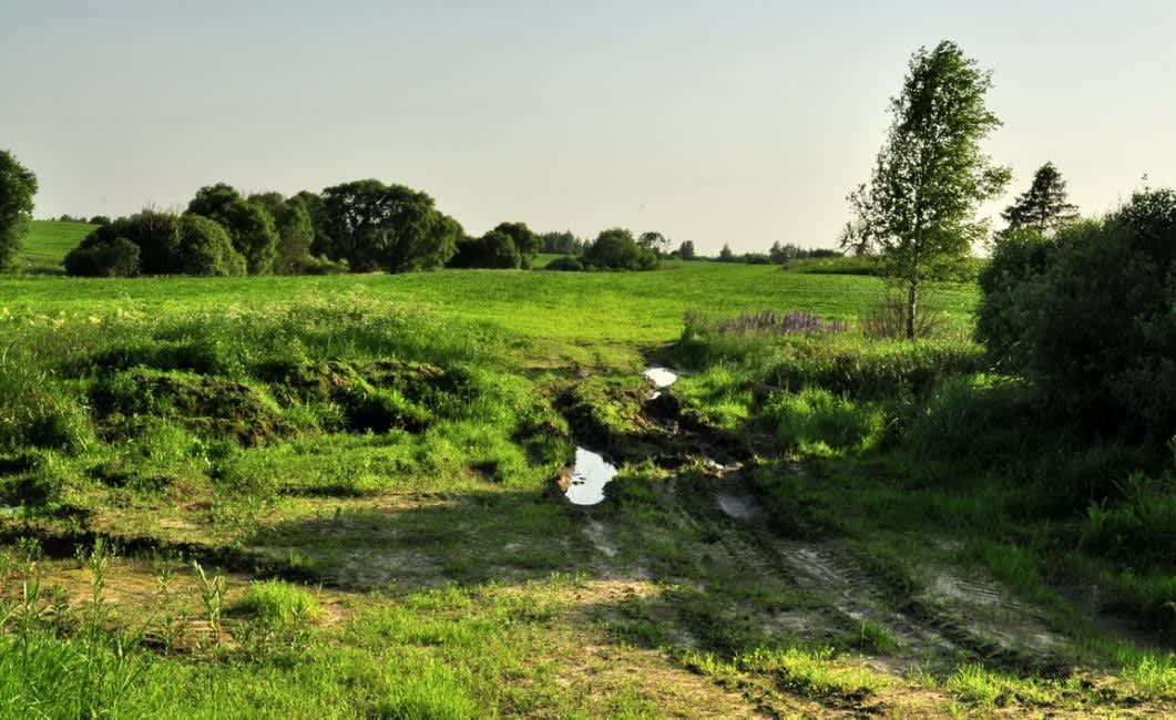 Site of the no longer existing town of Vereshchaki. Photographer: 	Alexander Litin, 2009.