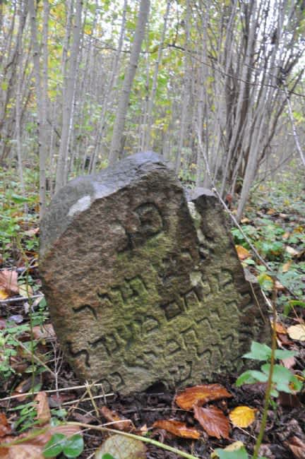 Former Jewish cemetery. Photographer: 	Alexander Litin, 2012.