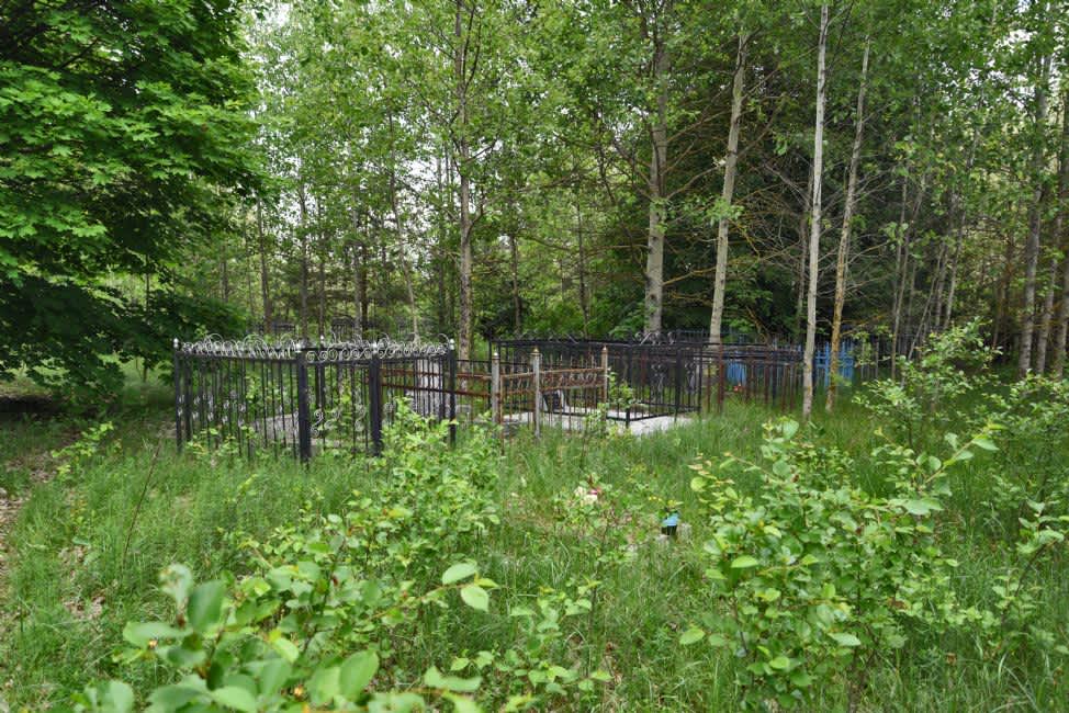The Jewish cemetery in Poddobryanka. Photographer: 	Alexander Litin, 2018.