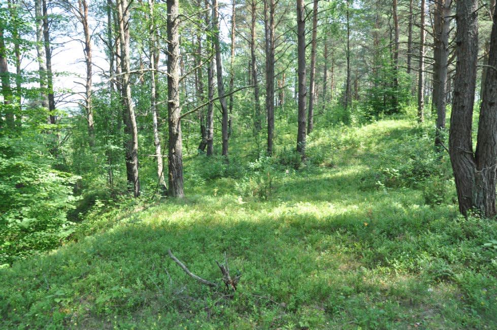 Site of the former Jewish cemetery. Photographer: 	Alexander Litin, 2013.
