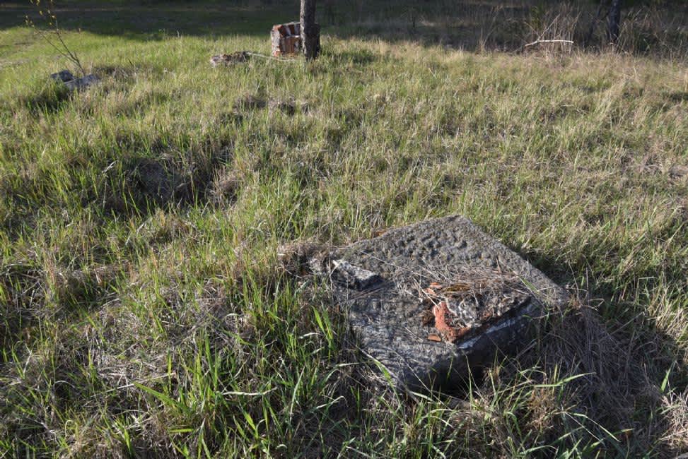 Old Jewish cemetery. Photographer: 	Alexander Litin, 2015.