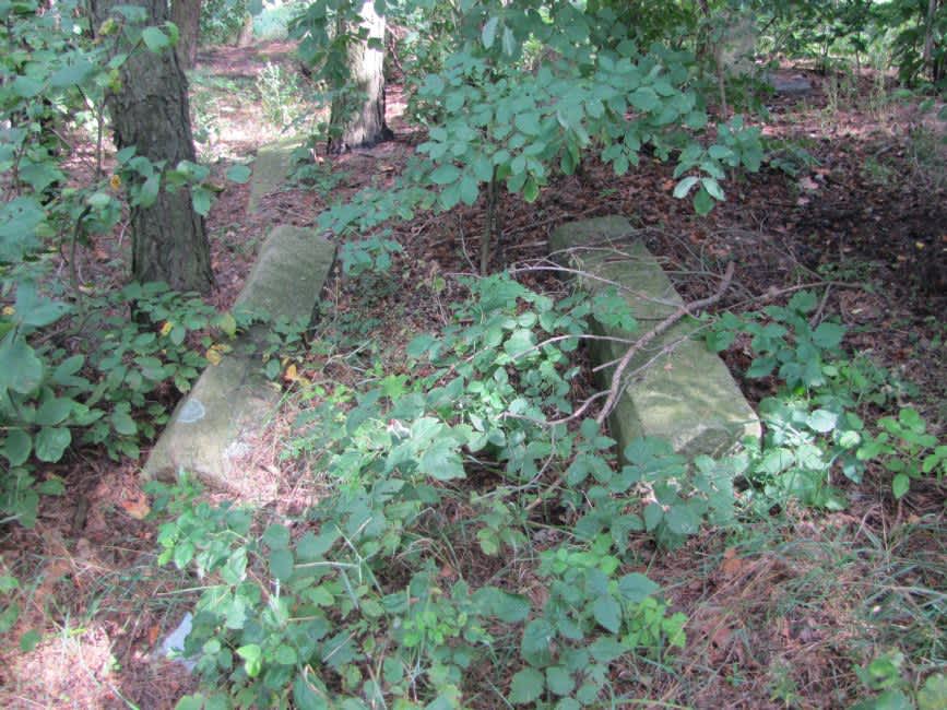 Remains of gravestones at the Sokolov village Jewish cemetery. Photographer: 	Mikhail Tyaglyy, 2012.