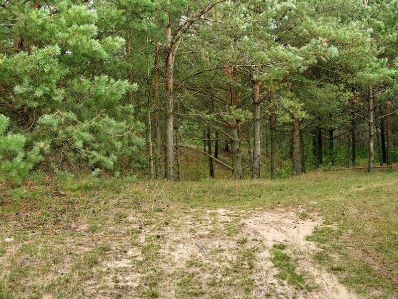 Murder site near the village of Dranukha. Photographer: 	Alexander Litin, 2008.