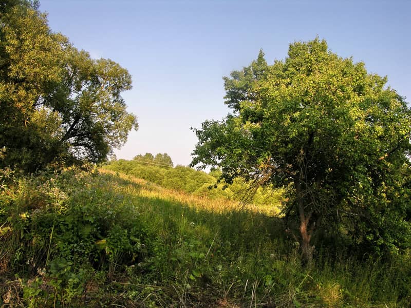 Rukrenitse murder site. Photographer: 	Alexander Litin, 2008.