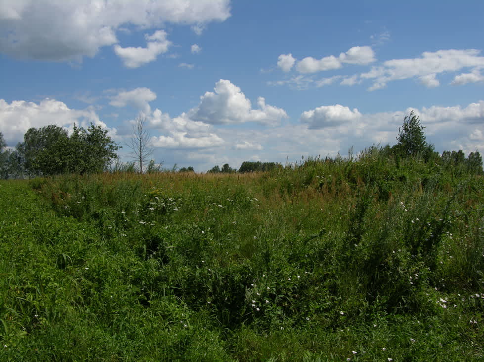 Murder Site of the Jewish men of Sapezhinka. Photographer: 	Alexander Litin, 2008.