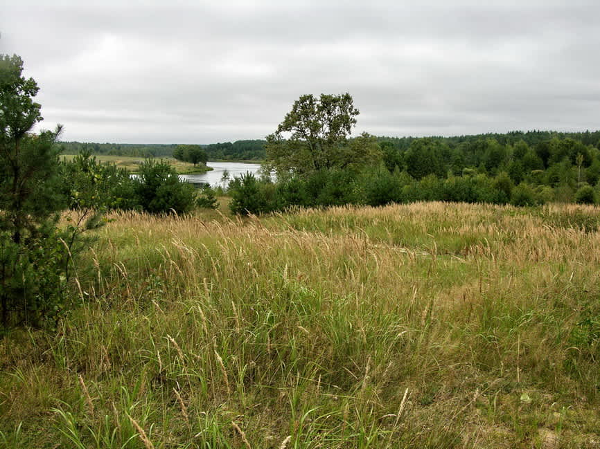 Lake at the Collective Farm garden murder site. Photographer: 	Alexander Litin, 2008.
