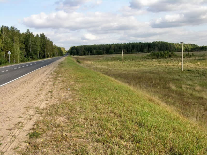Yankova Khvoika murder site, Batsevichi. Photographer: 	Alexander Litin, 2008.