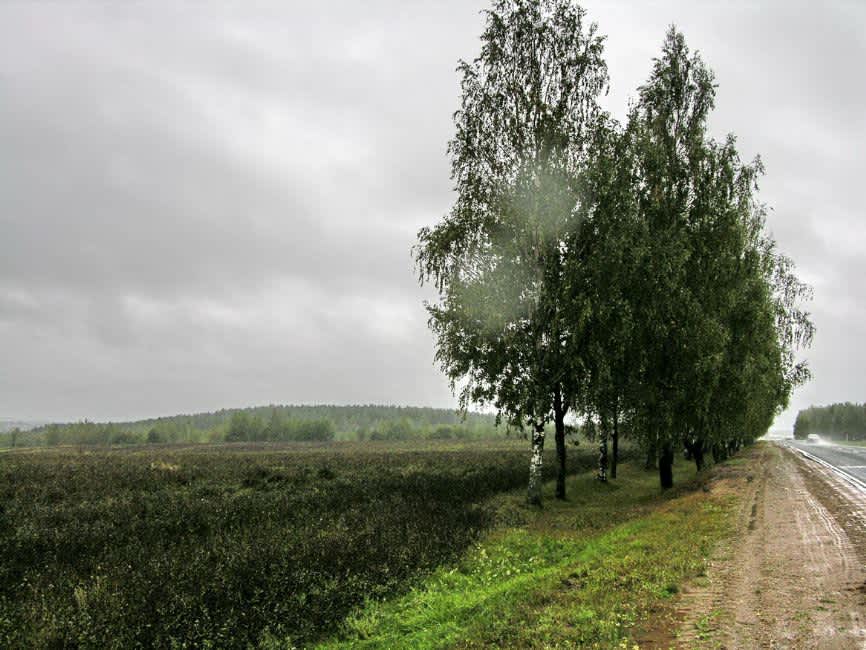 Murder Site near Shupeni village. Photographer: 	Alexander Litin, 2008.