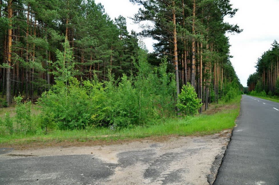 Murder site of Gorodok Jews. Photographer: 	Alexander Litin, 2009.