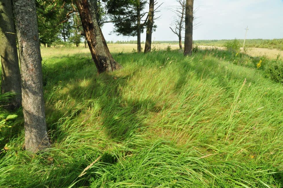 Murder site of Krasnopolye's Jews near Sidorovka village. Photographer: 	Alexander Litin, 2009.