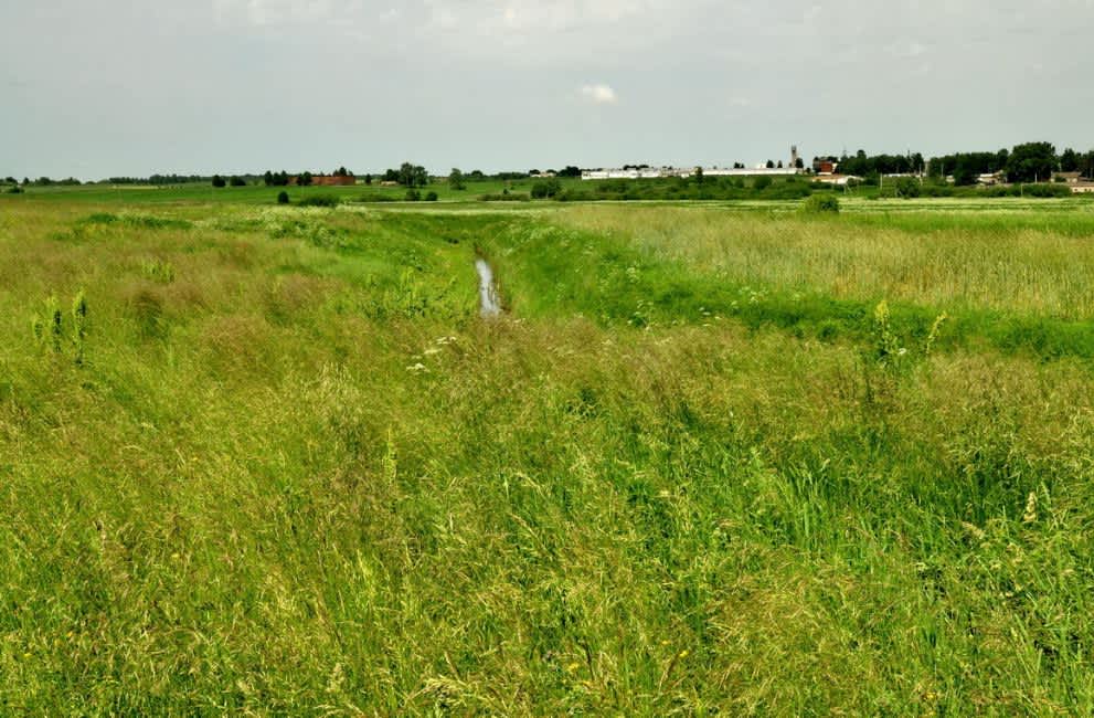 Site of the murder of Lenino's Jews. Photographer: 	Alexander Litin, 2009.
