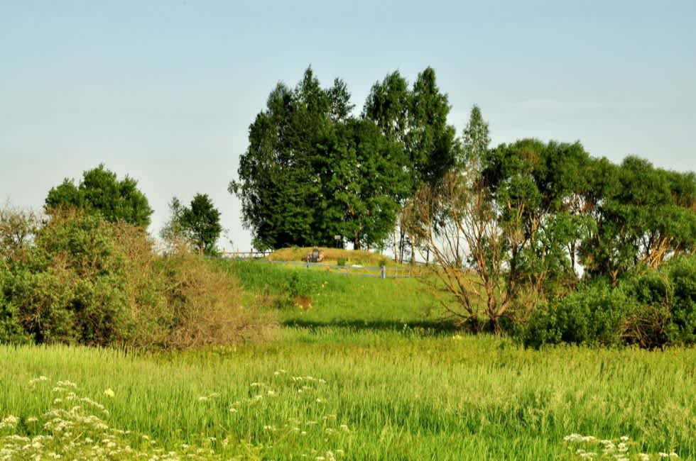 Murder site of of the Jews of Vereshchaki. Photographer: 	Alexander Litin, 2009.