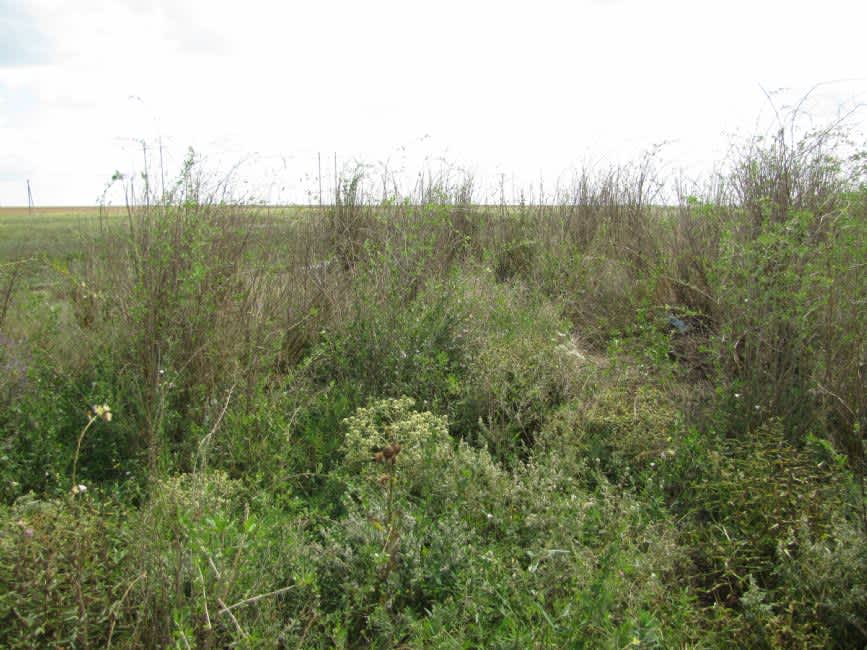 One of the three suggested murder sites. Photographer: 	Mikhail Tyaglyy, 2010.