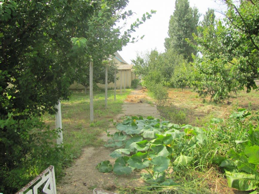 The murder site in Mayfeld, present-day view. Photographer: 	Mikhail Tyaglyy, 2010.