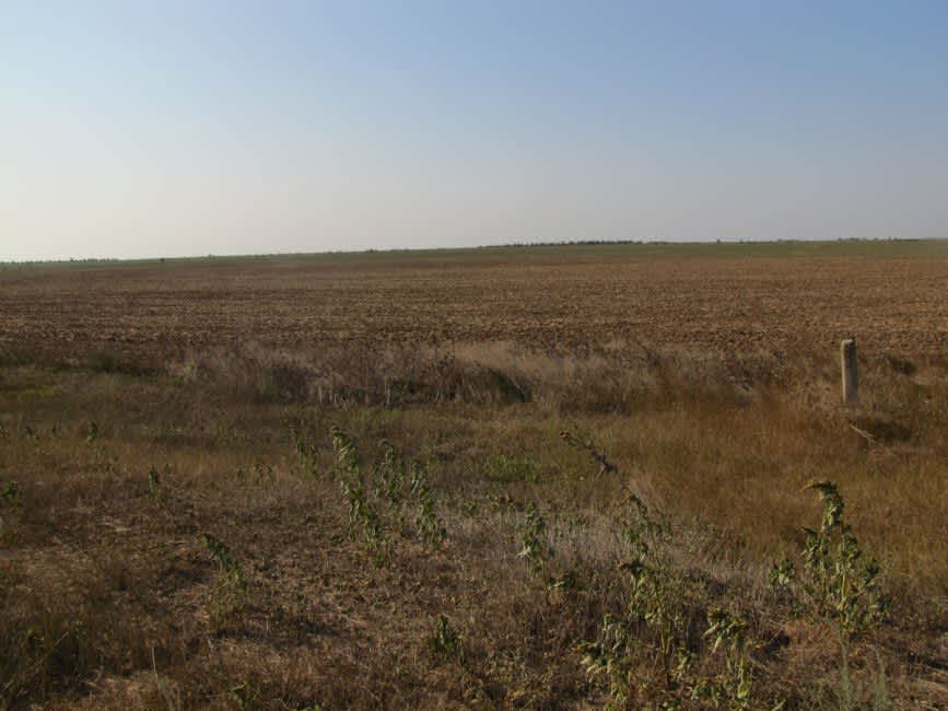 Site of the murder of Icor's Jews. Photographer: 	Mikhail Tyaglyy, 2010.