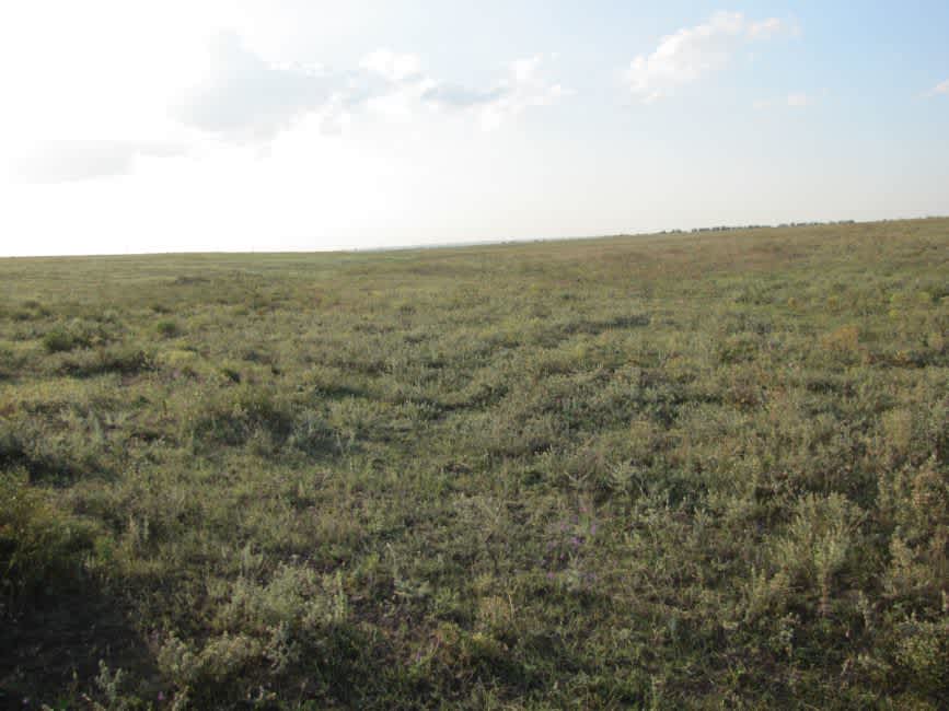 Murder site of Sverdlovka Jews. Photographer: 	Mikhail Tyaglyy, 2010.
