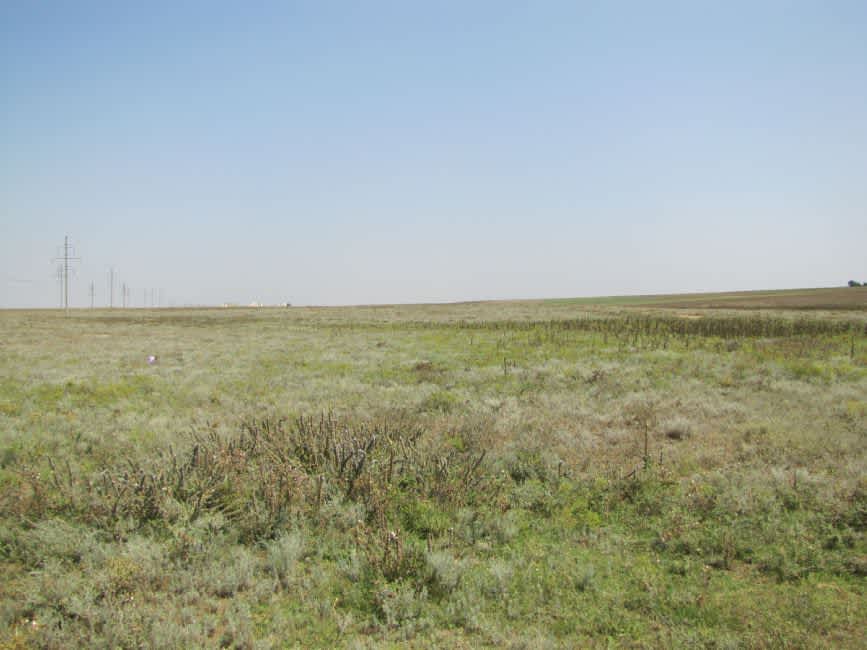 Site of the former Agro-Joint wells. Photographer: 	Mikhail Tyaglyy, 2010.