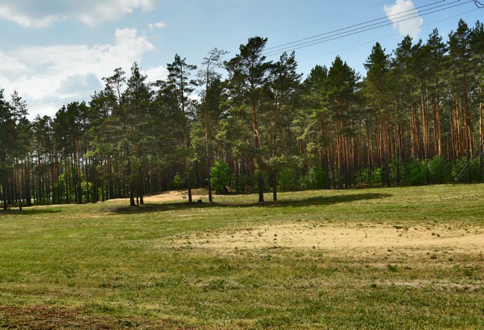 The killing site (two photos) near the Chernigov-Gomel Road. Photographer: 	Alexander Litin, 2018.