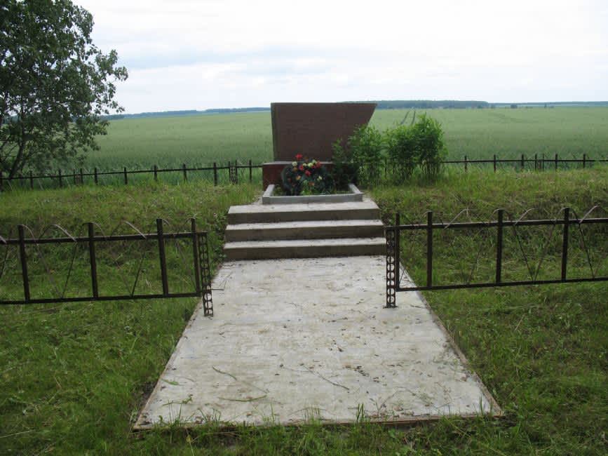 Murder site of the Jews of Snów. Photographer: 	Inna Gerasimova, 2010.