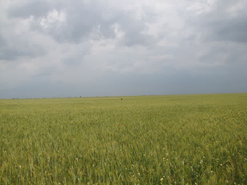 The Chubarov well site. Photographer: 	Mikhail Tyaglyy, 2011.
