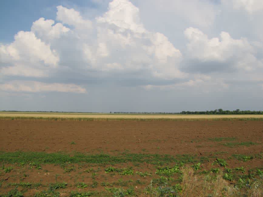 The presumed site of the anti-tank trench near Der Emes. Photographer: 	Mikhail Tyaglyy, 2011.